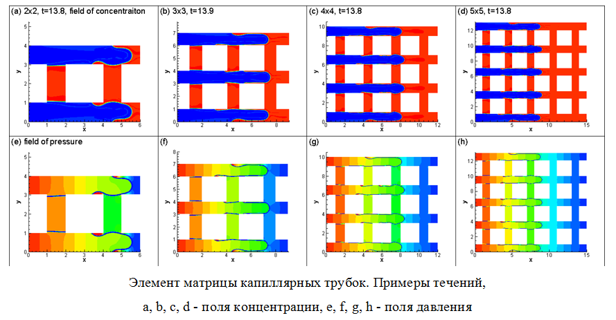 МОДЕЛИРОВАНИЕ ДИНАМИКИ ВЫТЕСНЕНИЯ В СЕТИ КАПИЛЛЯРОВ МЕТОДОМ ФАЗОВОГО ПОЛЯ